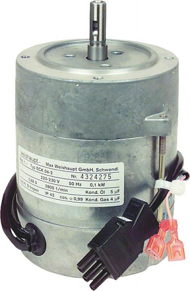 Motor 50 Hz ECK 04-2 241 200 0714/0